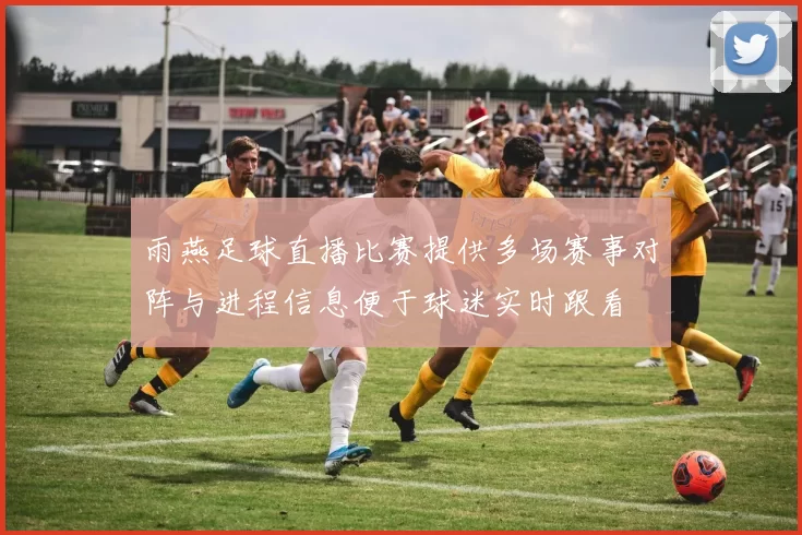 雨燕足球直播比赛提供多场赛事对阵与进程信息便于球迷实时跟看