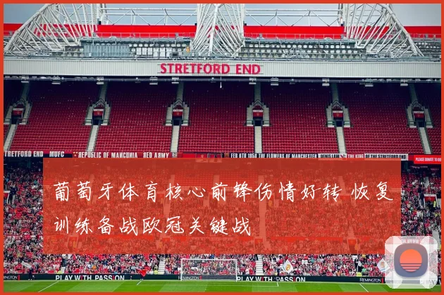 葡萄牙体育核心前锋伤情好转 恢复训练备战欧冠关键战