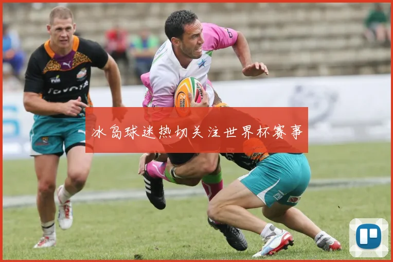 冰岛球迷热切关注世界杯赛事