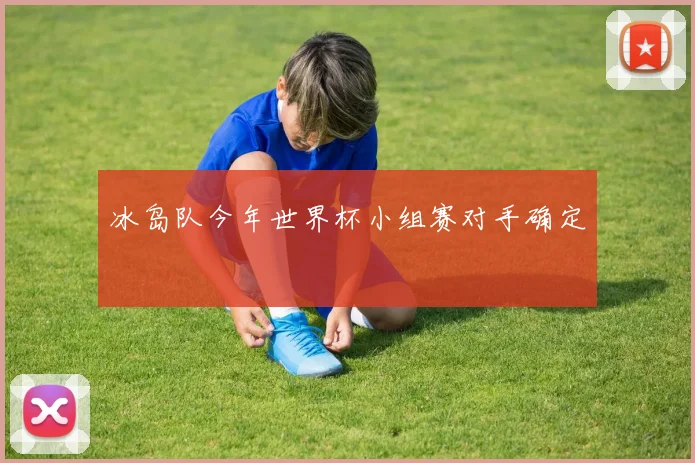 冰岛队今年世界杯小组赛对手确定